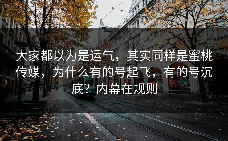 大家都以为是运气，其实同样是蜜桃传媒，为什么有的号起飞，有的号沉底？内幕在规则