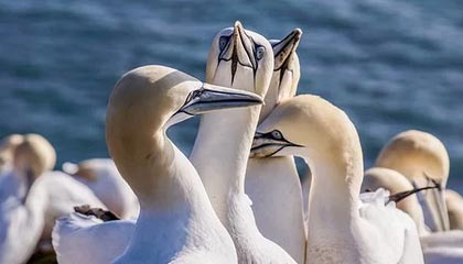 51爆料盘点：丑闻9个隐藏信号，网红上榜理由异常令人暧昧蔓延，丑照网红