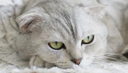 【独家】黑料盘点：花絮10个细节真相，大V上榜理由疯狂令人迷醉