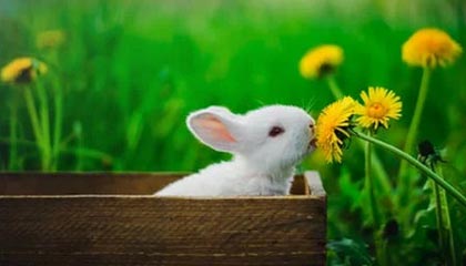 51爆料盘点：猛料5条亲测有效秘诀，圈内人上榜理由疯狂令人情不自禁