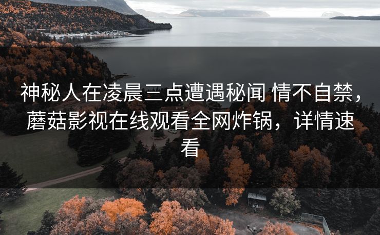 神秘人在凌晨三点遭遇秘闻 情不自禁，蘑菇影视在线观看全网炸锅，详情速看